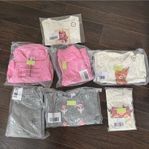 Brand New Janie and Jack Pink, Gray, and Cream Long Sleeve Tees and Pants Bundle